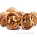 Walnut jąder bursztynowy (AQ) z Yunnan